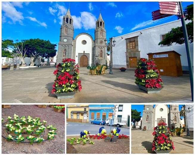 Imagen de la plantación de pascuas en rotondas y en jardineras de la plaza de San Juan/TA.